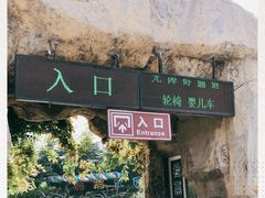 -青岛森林野生动物世界