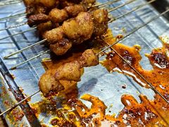 -韩马老王烧烤(西二路店)