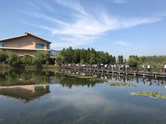 -溱湖国家湿地公园