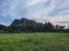 -烟水渔庄餐厅(西溪湿地店)