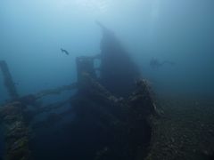 明太全鱼-故乡明太鱼屋(航北路店)