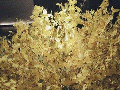 -泰之源足浴会所(玉环店)