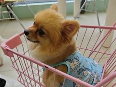 -怪兽屋·羊驼·猫咖·狗咖(俊华广场店)