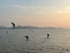 -深圳湾公园(南山区)