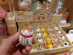 -猫的天空之城概念书店(印象城购物中心店)