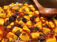 牛肉麻婆豆腐-眉州东坡(北苑华贸店)