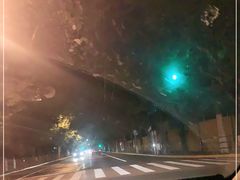 -心流游戏Flow Games