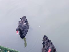 -扬州天乐湖嬉乐谷
