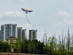 -府河摄影公园
