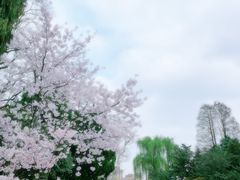 -御花园·粤菜·海鲜火锅(中山公园店)