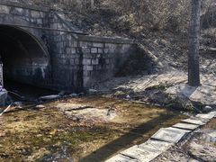 -白水寺森林公园