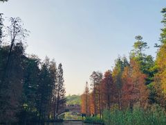-云溪植物园