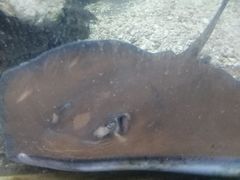 -鸿通城购物中心