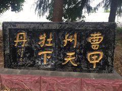 -曹州牡丹园