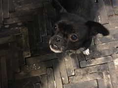 -观桥阁(锦溪店)