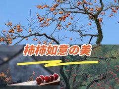 -四明山国家森林公园