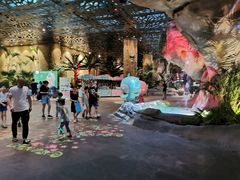 游乐设施-杭州开元森泊度假乐园