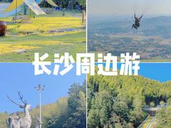 -长沙黑麋峰国家森林公园