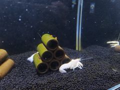 -重庆欢乐海底世界
