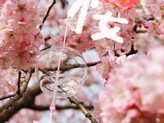 -武汉大学-樱园