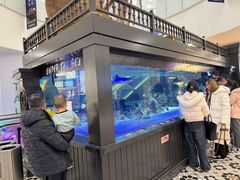 -凯德广场(学府店)