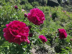 -长春公园(普阳街道)