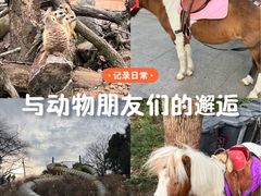 -杭州少年儿童公园