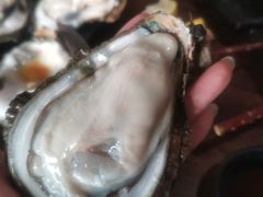 -土蚝·高压锅生蚝(百姓美食街店)