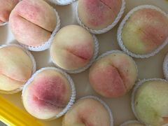 -老袁家蜜桃农场·阳山水蜜桃