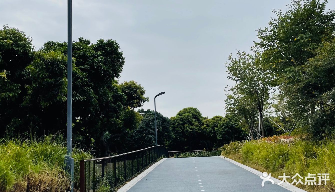 周末过来溜娃爬山棒棒的，唯一的缺点就是交通不太便利