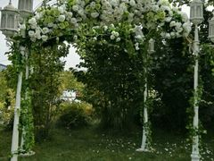 -白鹿原葡萄主题公园