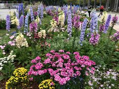 -深圳国际园林花卉博览园