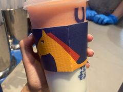 -春丽小马(济南恒隆广场店)