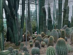 -南山植物园