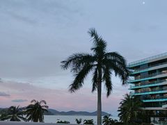 -JW万豪厨房餐厅·滨海草坪烧烤·海鲜·海景(三亚绿发山海天JW万豪酒店)