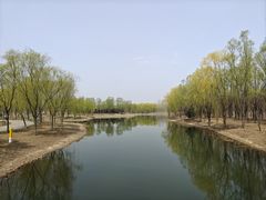 -东郊湿地公园