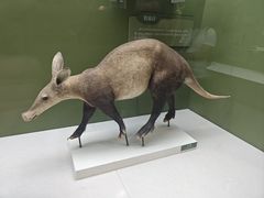 -国家自然博物馆