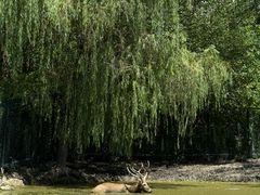 -溱湖国家湿地公园