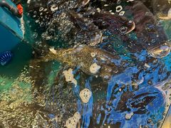 -魏铭鱼头捞饭(晋阳路店)