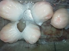 金牌虾饺皇-江南村酒家