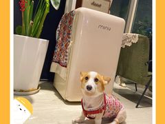 -艾蜜西餐厅(梅园店)