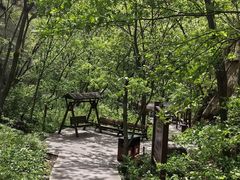 -大岭沟猕猴桃谷风景区