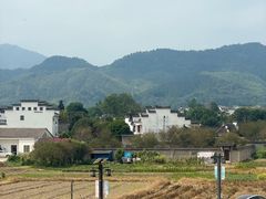 -黄牛肉馆·皖南土菜