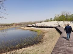 -东郊湿地公园