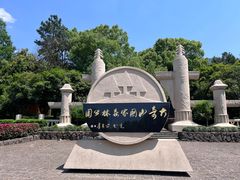 -大奇山国家森林公园