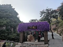 -爱情山风景区