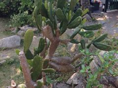 iphone_upload_pic-南丫岛