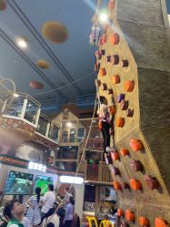 -卡通尼·Safari非洲探索乐园·生日会(金桥国际商业广场店)