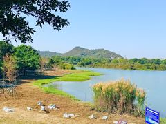 -风云岭森林公园