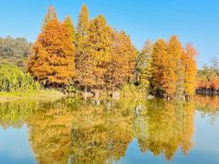 -华南国家植物园-售票处